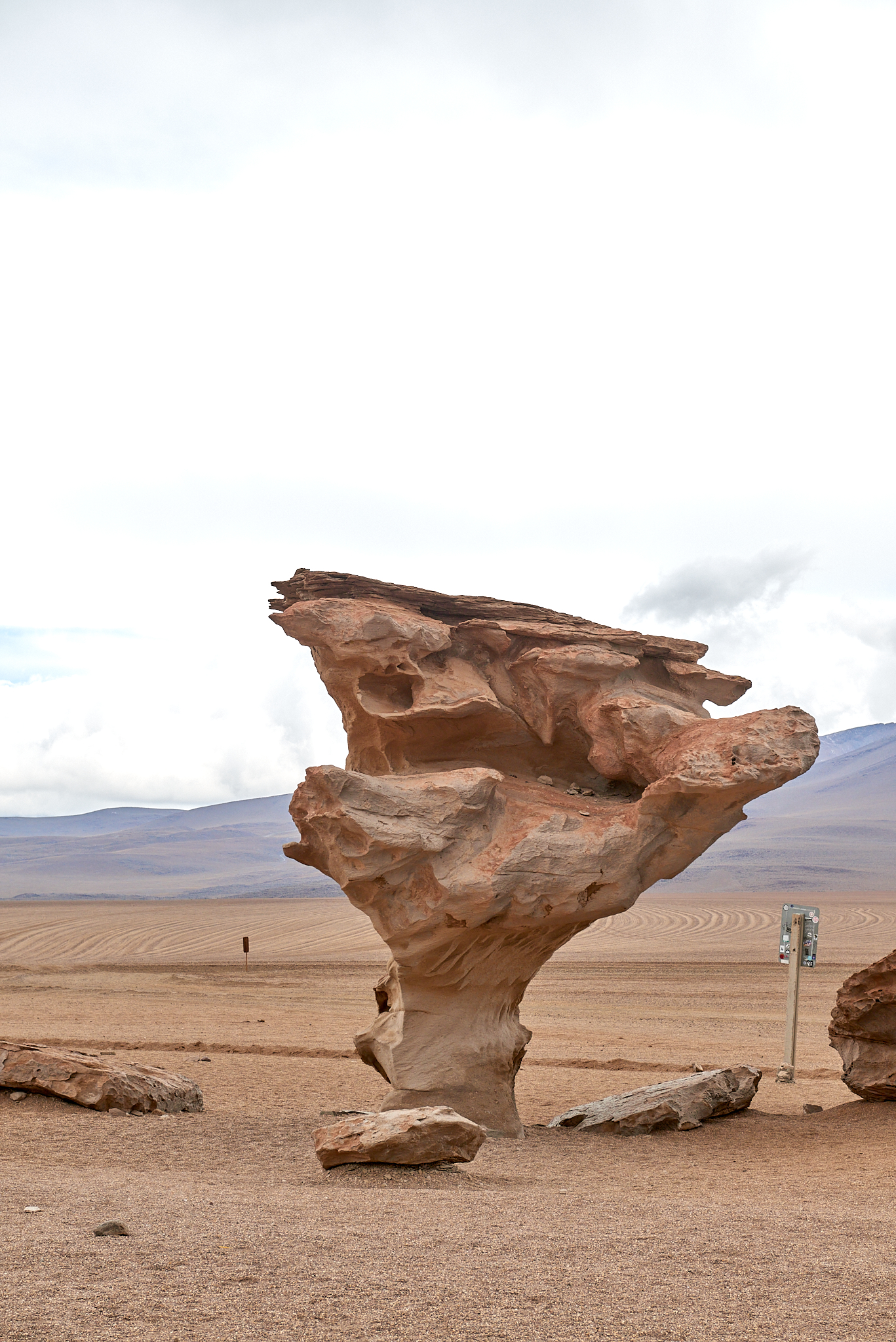 20200313 511 [볼리비아] 아르볼 데 삐에드라 돌 나무